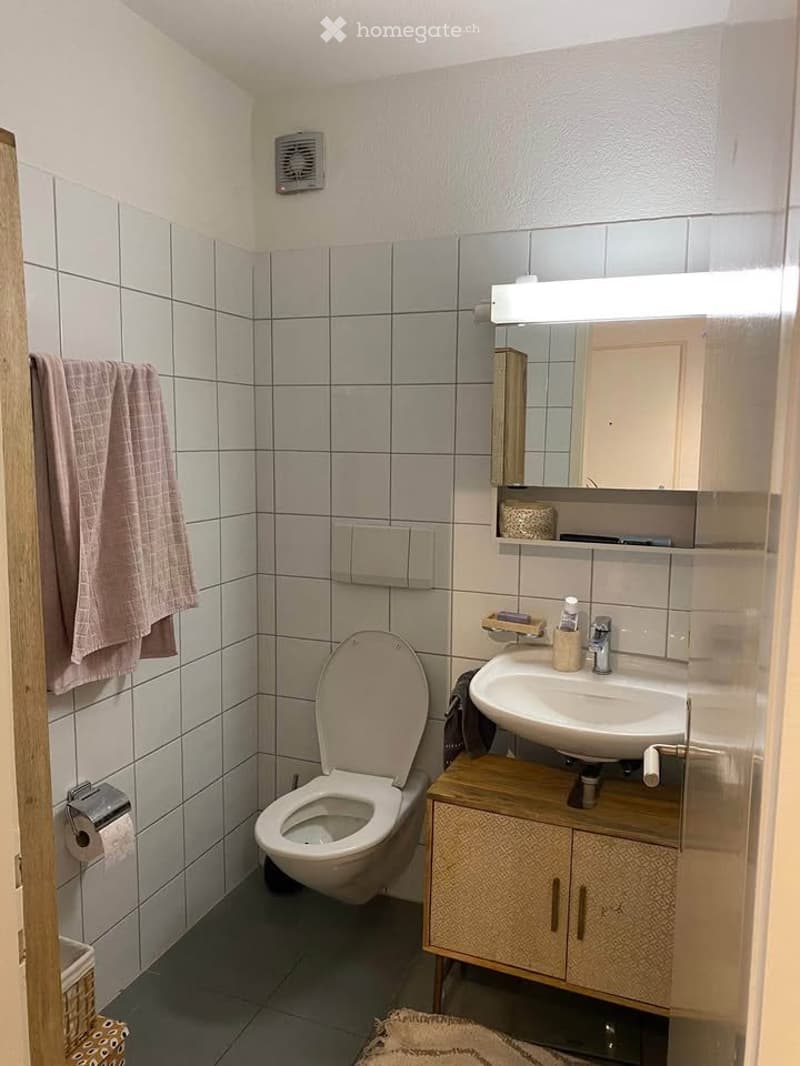 3.5-Room Apartment in Central Zurich Hottingerstrasse (2)