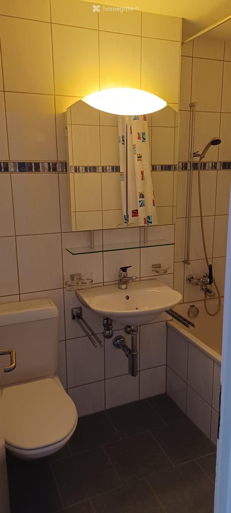 Zentrale und ruhige 1.5 Zimmer Wohnung in der Neustadt (3)