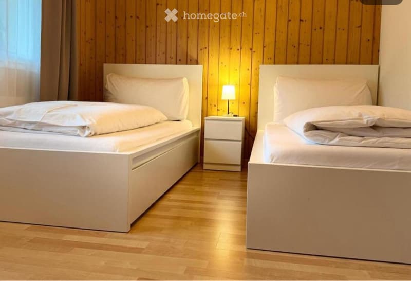 Charmante 4- Zimmer Wohnung (3)