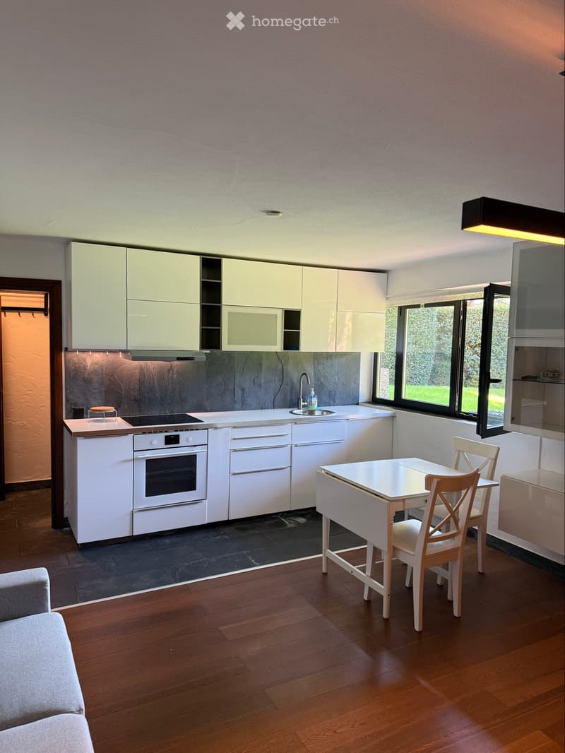 Splendido appartamento in affitto con vista lago (3)