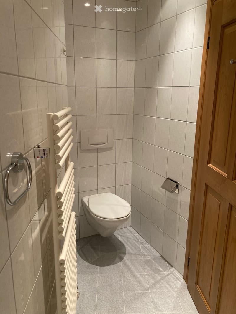 1.5 Zimmerwohnung mit Garten zur Mitbenutzung (2)