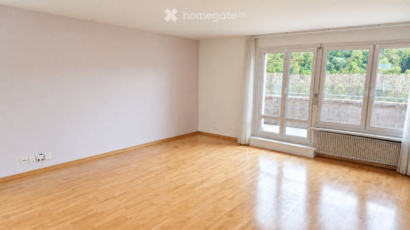 4.5-Zimmer-Attikawohnung 96 m² + 73 m² Terrasse (2)
