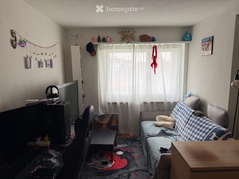 Moderne 2.5Zimmer Wohnung zu vermieten inkl Tiefgarage (4)