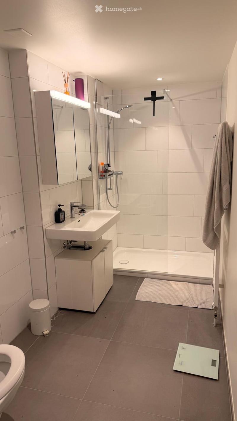 Moderne 2.5Zimmer Wohnung zu vermieten inkl Tiefgarage (3)