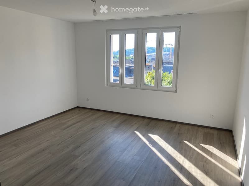 Top-Aussicht & Stadtnah: Frisch renovierte 3.5-Zi.-Wohnung (3)