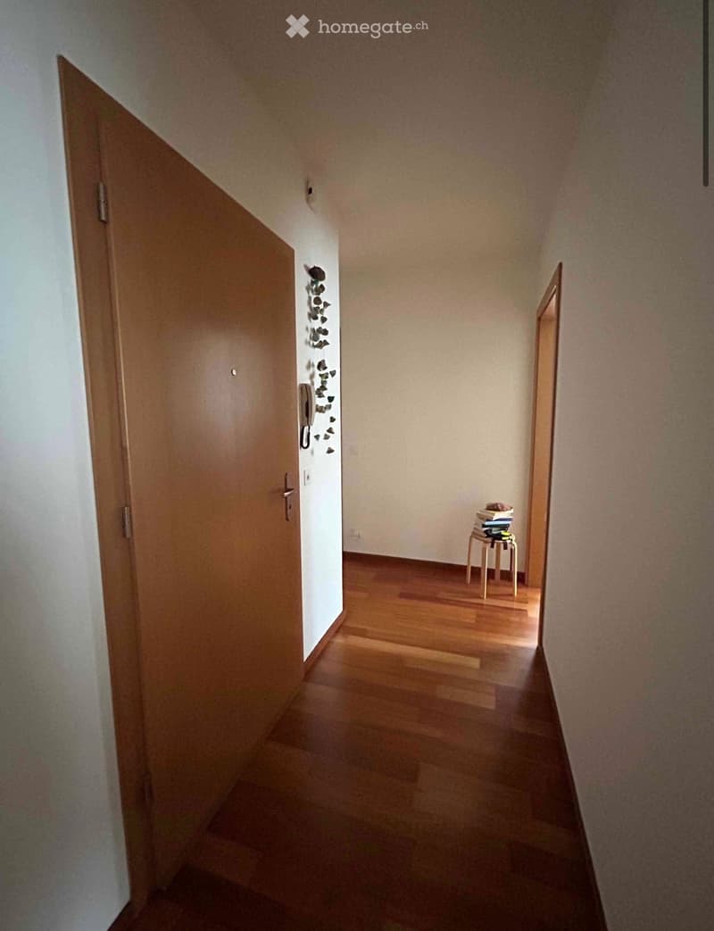 Cerco subentrante 3.5 Mendrisio (3)