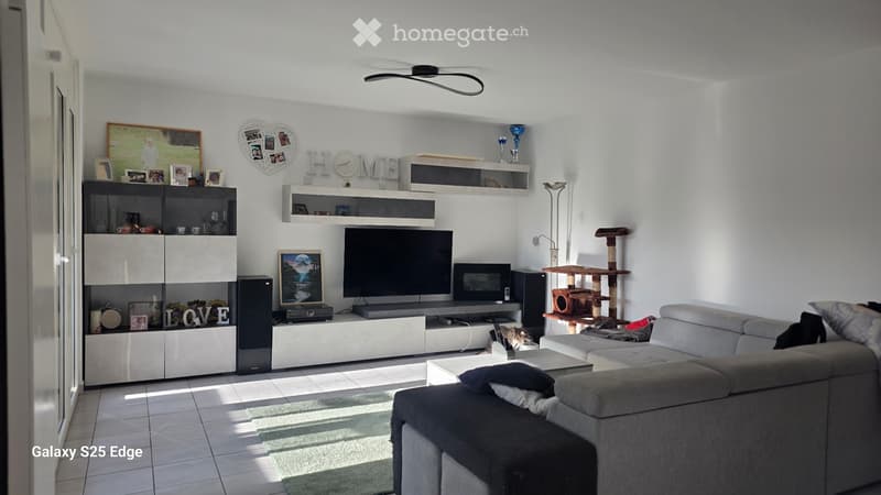 Cercasi subentrante Appartamento 4.5 (3)