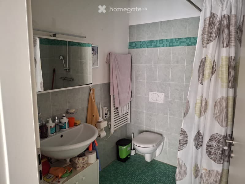 Novazzano Grazioso 2.5 locali di 50 m² (4)