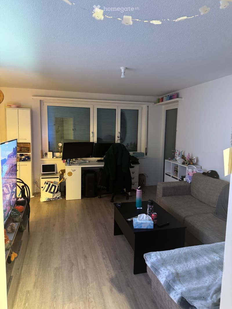 Wohnung in Kloten (5)