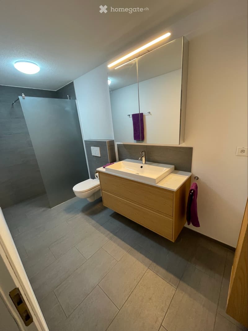 Neu renovierte 4.5-Zi-Whg. (3)