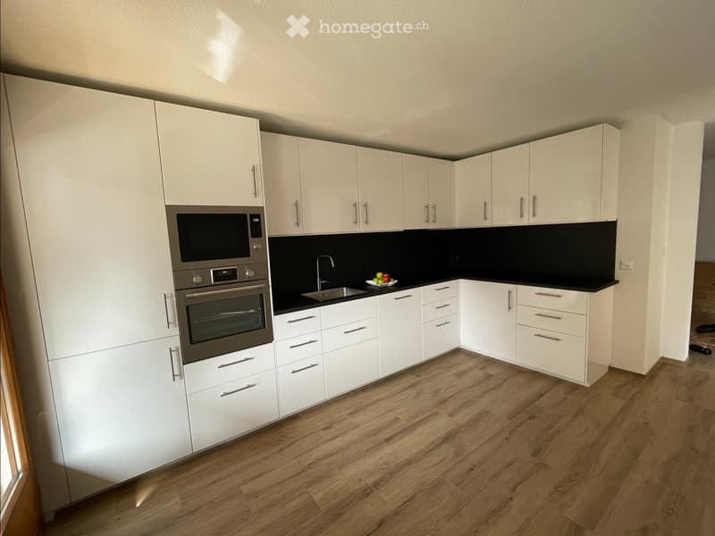 Neu renovierte 4.5-Zi-Whg. (1)