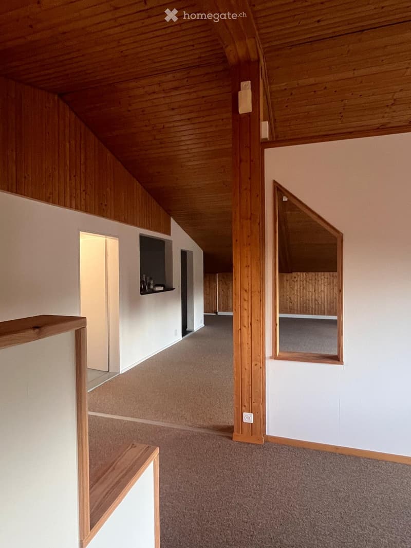 Grosszügige 3 Zimmer-Dachwohnung (1)
