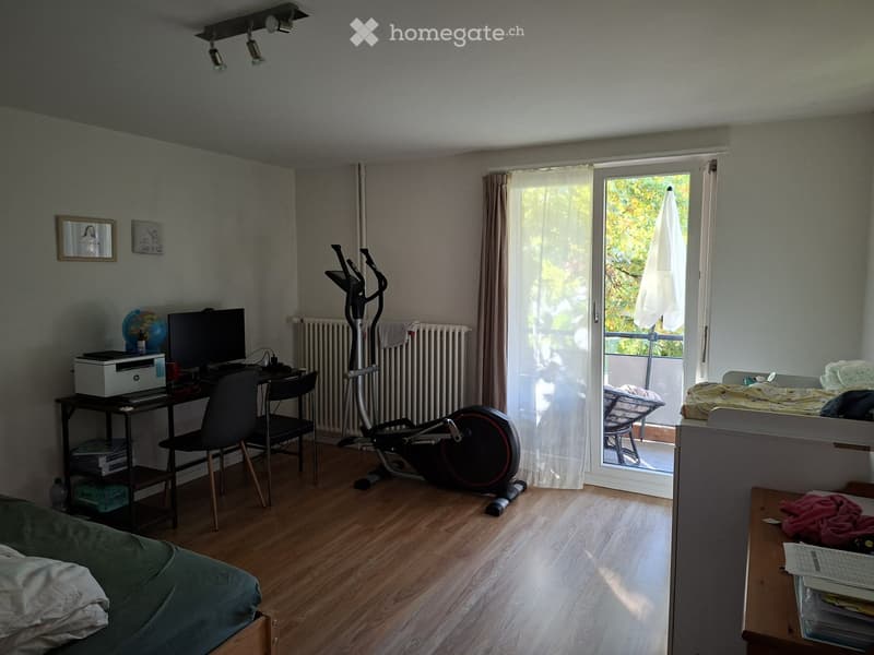 4.5 Zi-Wohnung in Glarus (3)