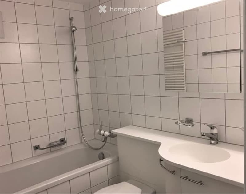 3.5 Wohnung in beliebter Lage "Gruben" Schaffhausen (3)