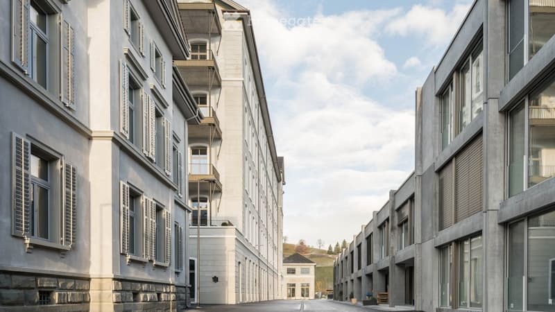 Möbliertes Industrieloft 112m2, 59m2 Terrasse, Mels (12 Mt.) (11)
