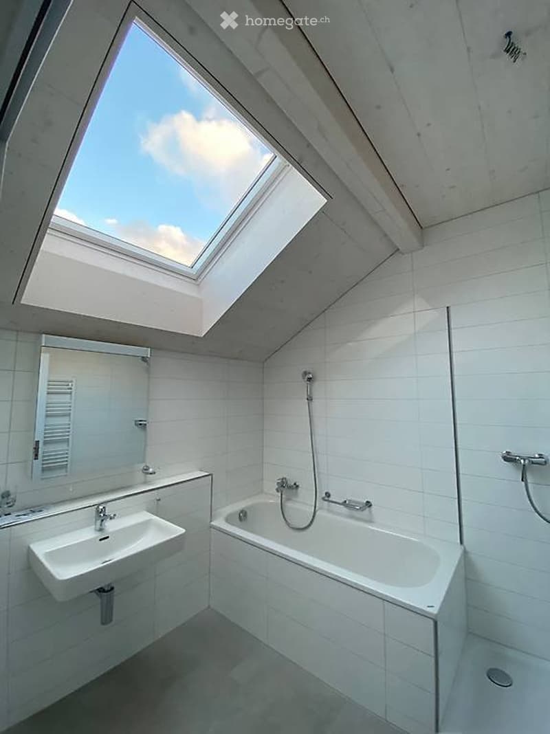 Nachmieter für Duplex-Wohnung 4-5 Zimmer 175 m2 gesucht (5)