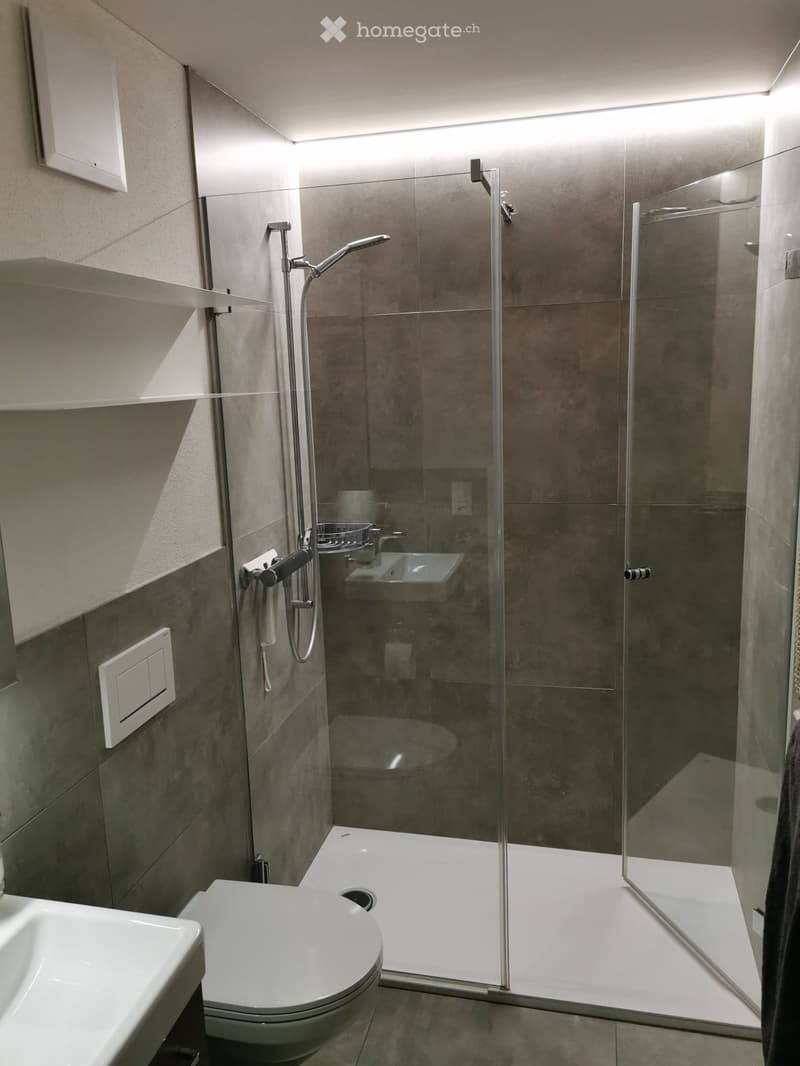 Schönes, helles und ruhig gelegenes Studio, möbliert (2)
