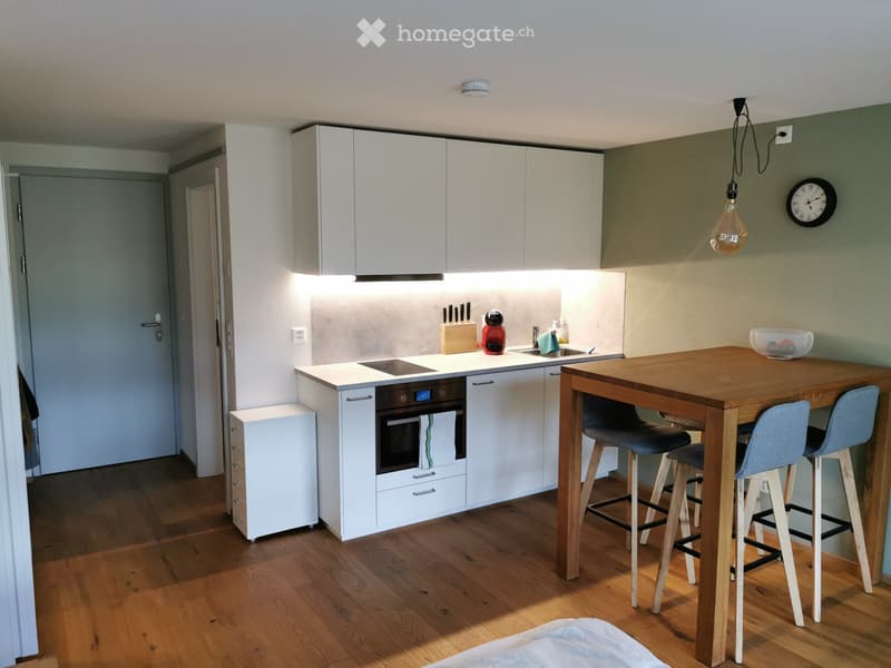 Schönes, helles und ruhig gelegenes Studio, möbliert (4)