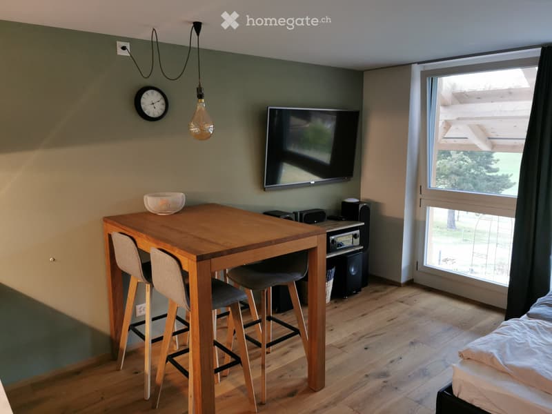 Schönes, helles und ruhig gelegenes Studio, möbliert (1)