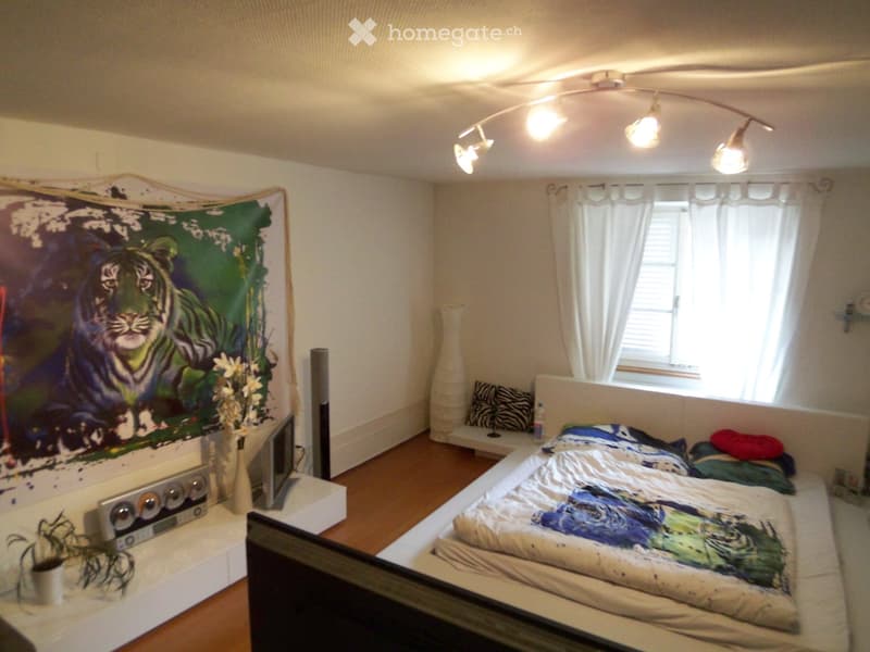 Heimelige 3.5 Zimmerwohnung im steuergünstigen Pfeffingen (2)