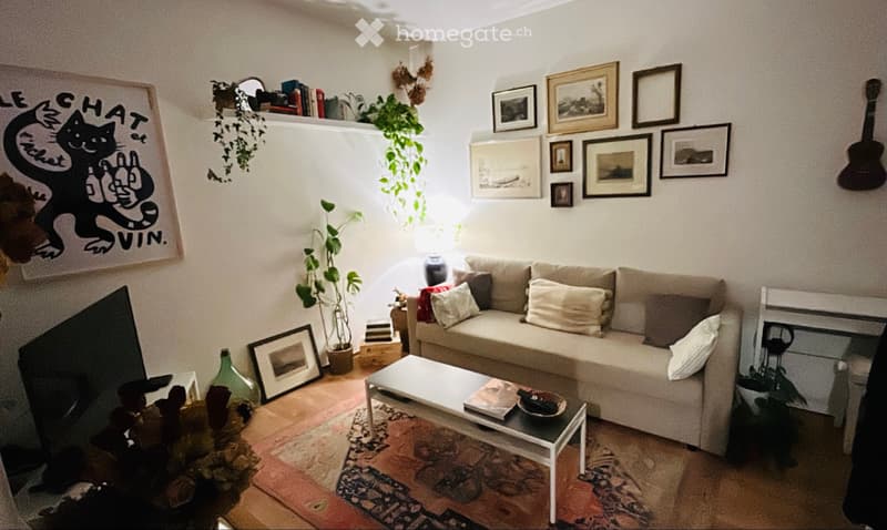 SUBENTRANTE, 2.5 locali RISTRUTTURATO,10min dal centro (1)