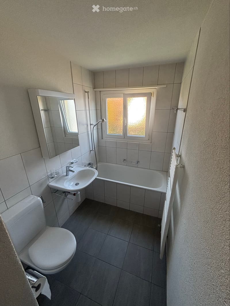 4,5 Zimmer Wohnung frisch Renoviert zu vermieten. (2)
