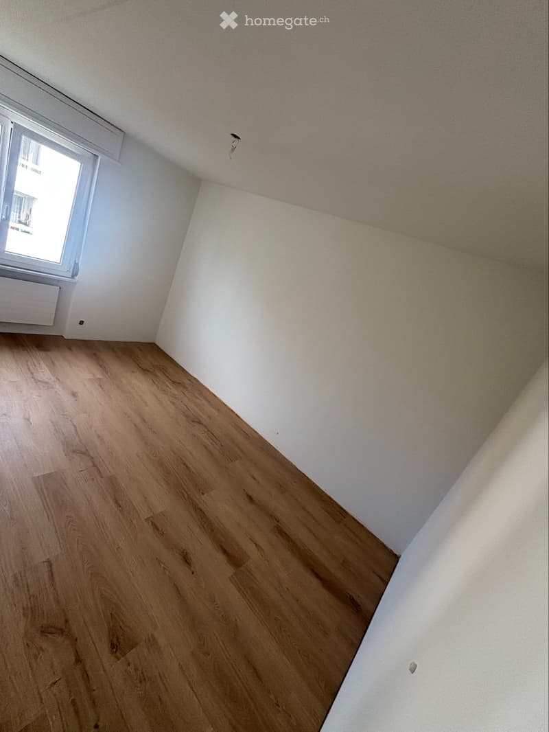 4,5 Zimmer Wohnung frisch Renoviert zu vermieten. (3)