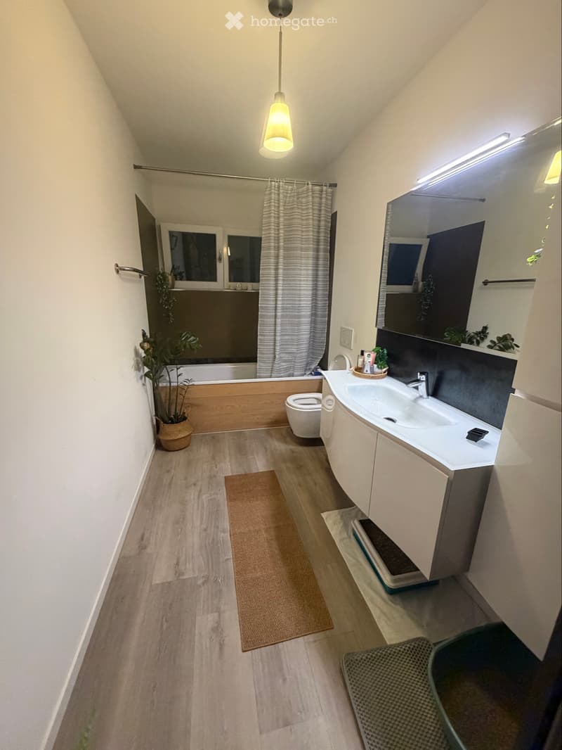 Subentrante urgente  Splendido appartamento di 3.5 locali (4)