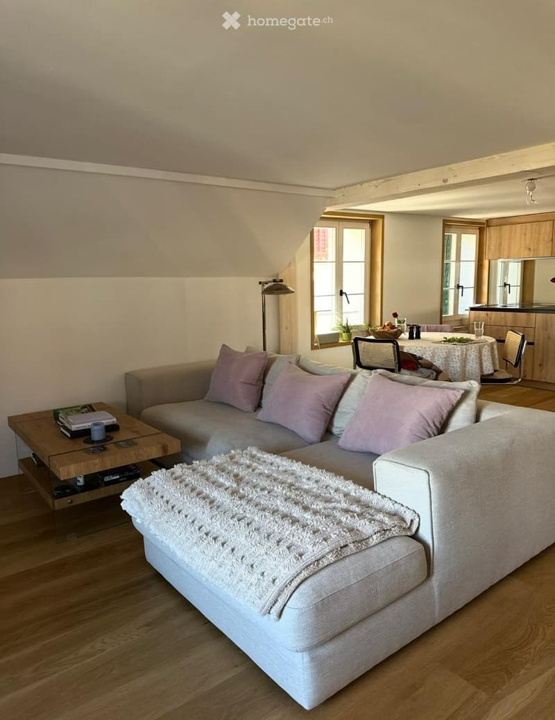 2.5 apartment to rent in Menzingen ZUG (1)