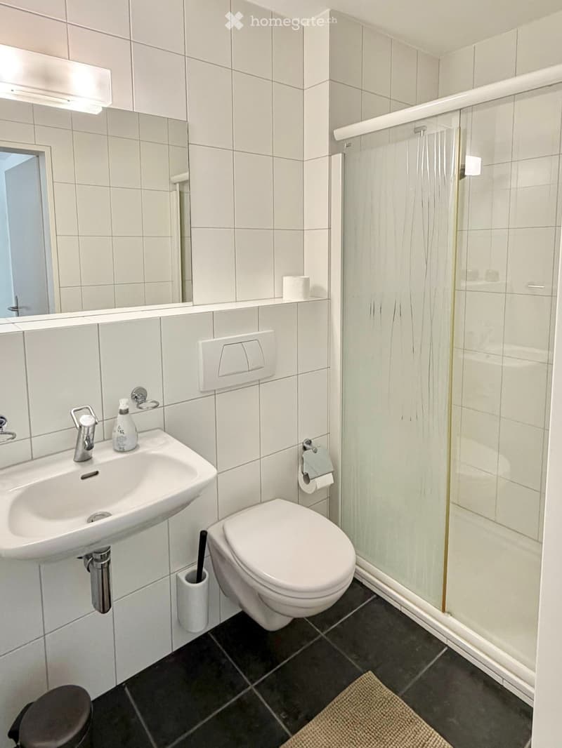 Befristet, möbliert: 4.5 Zimmer mit Cheminée in Forch (10)