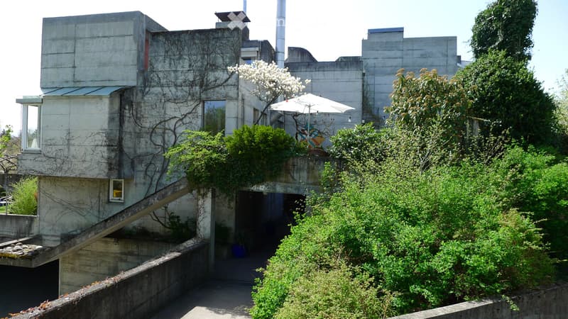 Helles Studio mit grosser Terrasse in der Siedlung Thalmatt (5)