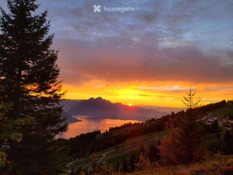 WG Zimmer auf der Rigi zu vermieten (1)