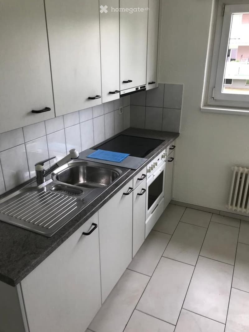 4 Zimmerwohnung mit Rasenplatz (3)