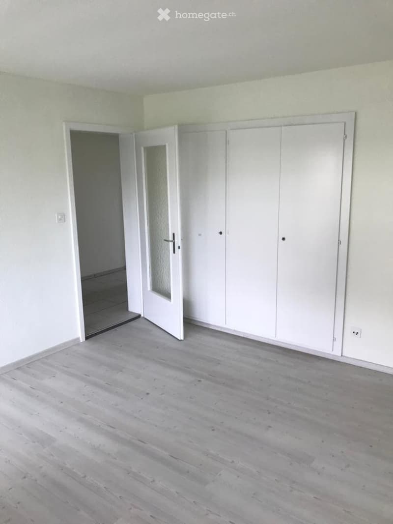 4 Zimmerwohnung mit Rasenplatz (4)