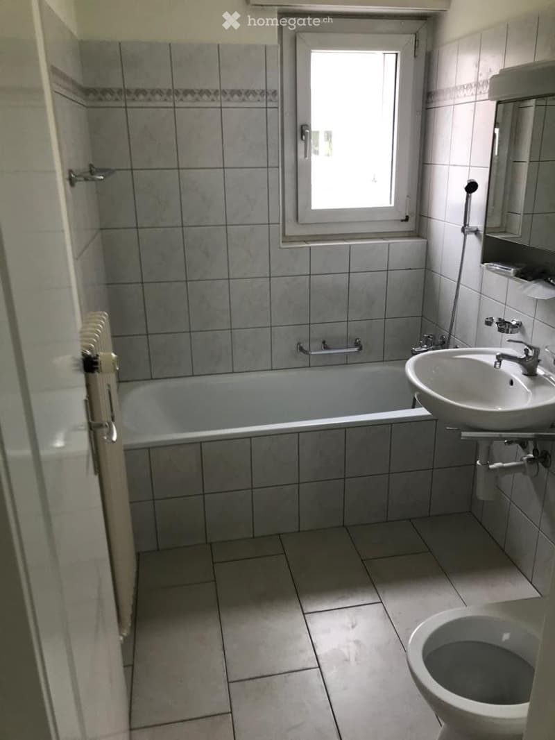 4 Zimmerwohnung mit Rasenplatz (5)