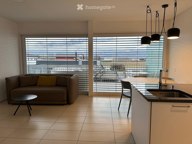 Accogliente appartamento 2,5 arredato con terrazza a Contone (1)
