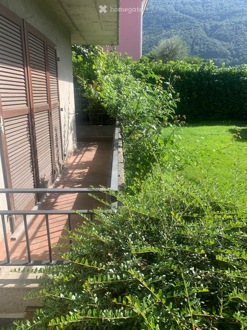Affittasi S.Antonino 3.5 locali con giardino (4)