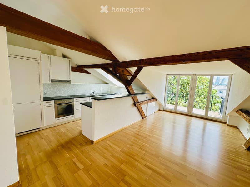 Charmante Loft-Dachwohnung im Gundeli mit Balkon (1)