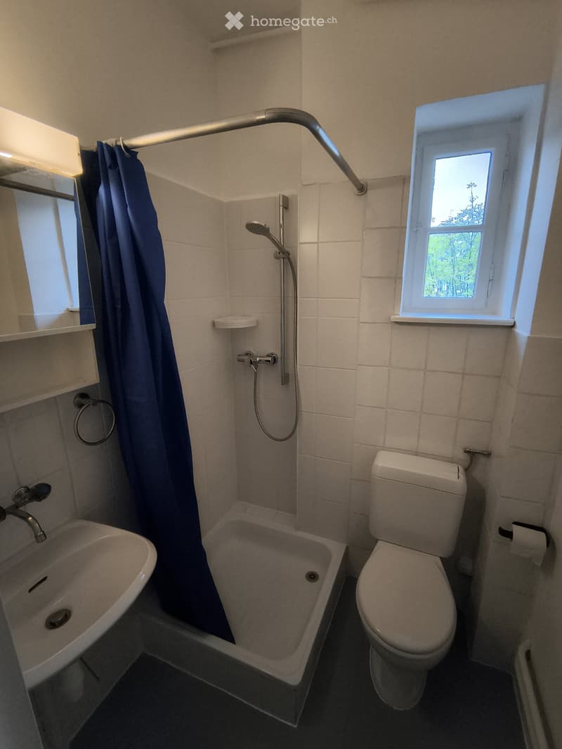 2 Zimmer-Wohnung mit Balkon (75 m2) im 1. Obergeschoss (3)