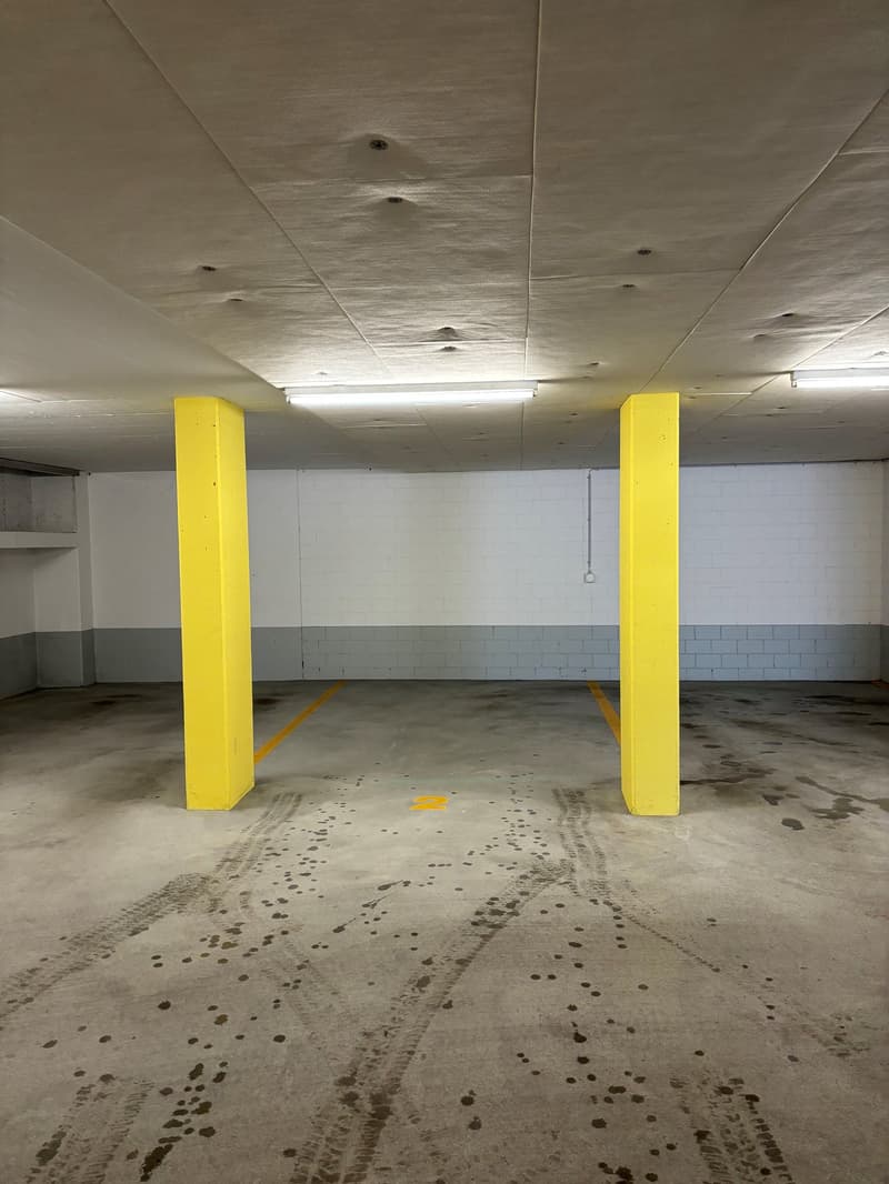 Garagenparkplatz an zentraler Lage zu vermieten (1)