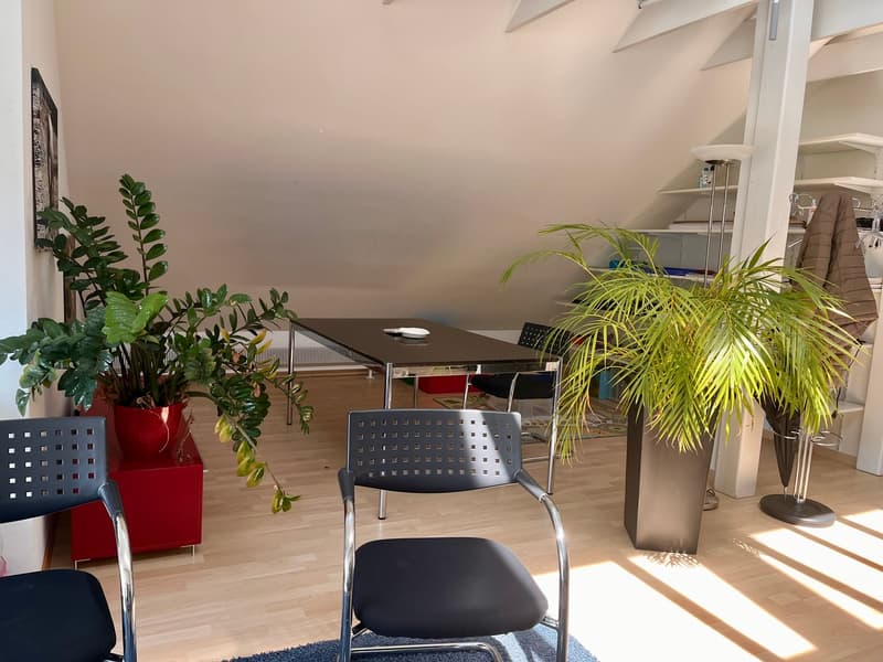 Bright and modern office space with a large desk, black chairs, and various potted plants. The room has high ceilings and large windows, suggesting it may be located on a balcony or terrace.