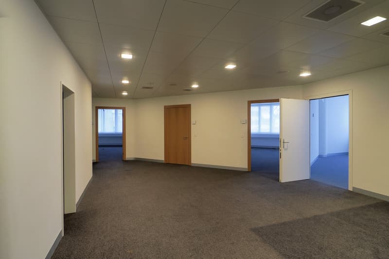 Empty hallway with three doors and carpeted floor.