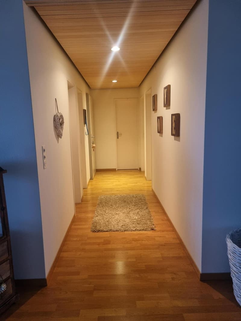 3.5 Zimmerwohnung in Wädenswil (7)