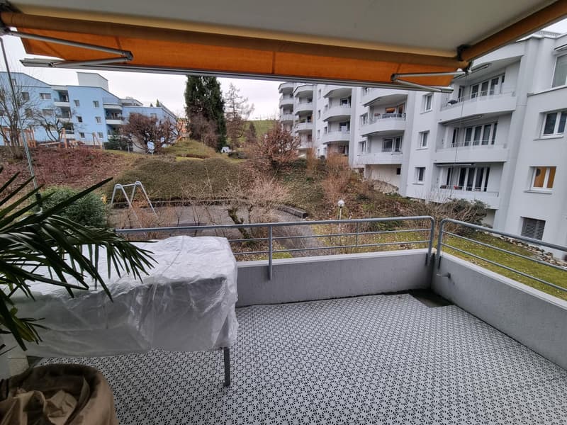 3.5 Zimmerwohnung in Wädenswil (4)