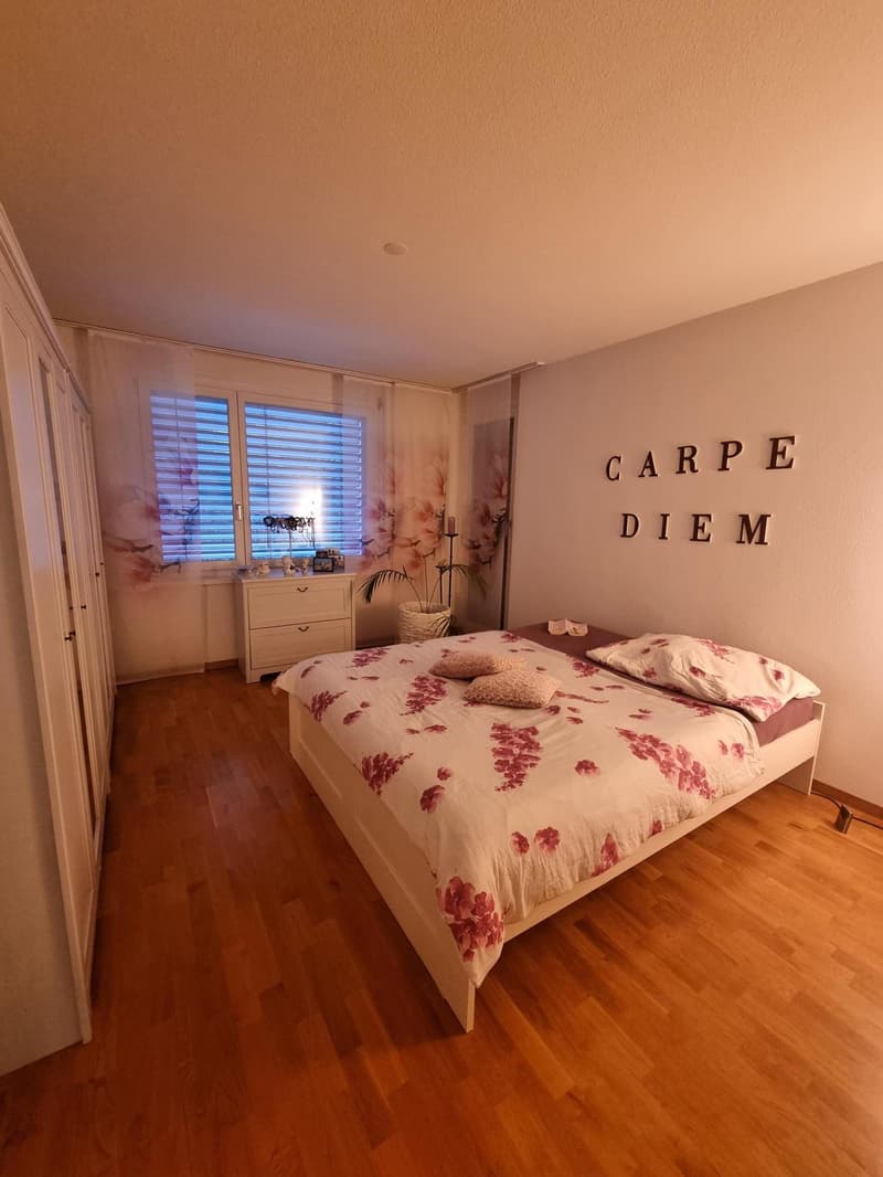 3.5 Zimmerwohnung in Wädenswil (9)