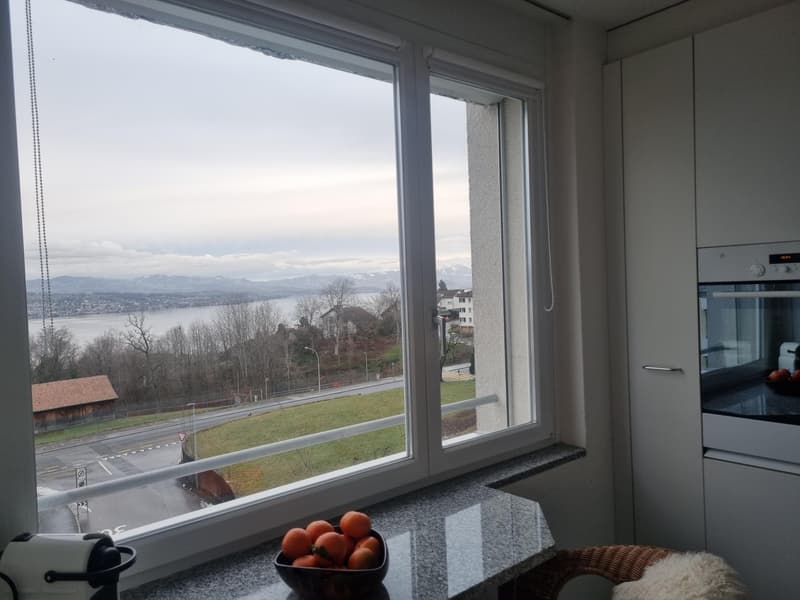 3.5 Zimmerwohnung in Wädenswil (6)