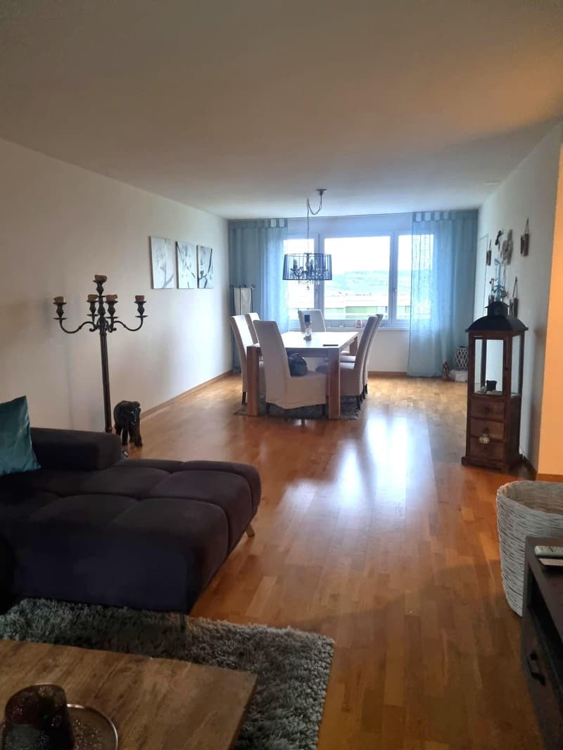 3.5 Zimmerwohnung in Wädenswil (2)