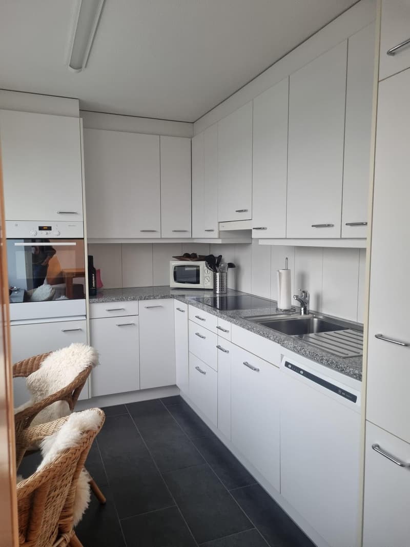 3.5 Zimmerwohnung in Wädenswil (5)
