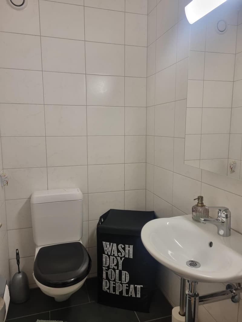 3.5 Zimmerwohnung in Wädenswil (12)