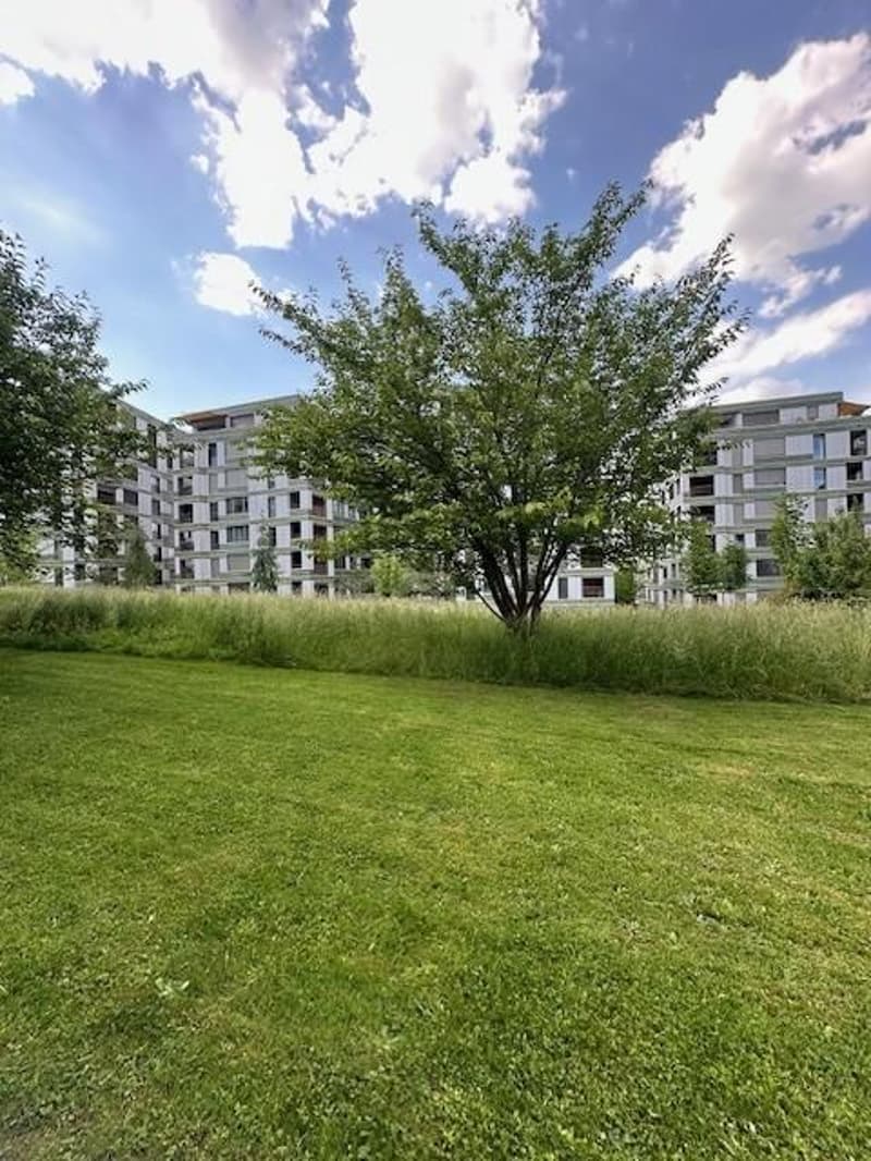 Neu sanierte 3.5-Zimmerwohnung in Zürich (12)